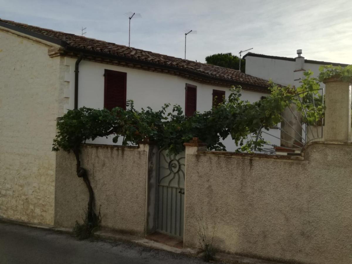 B&B Capo Le Vigne Sirolo Kültér fotó