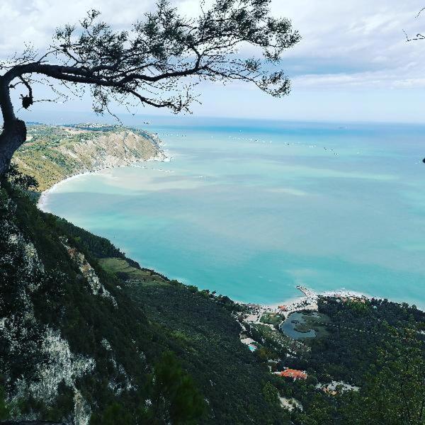 B&B Capo Le Vigne Sirolo Kültér fotó