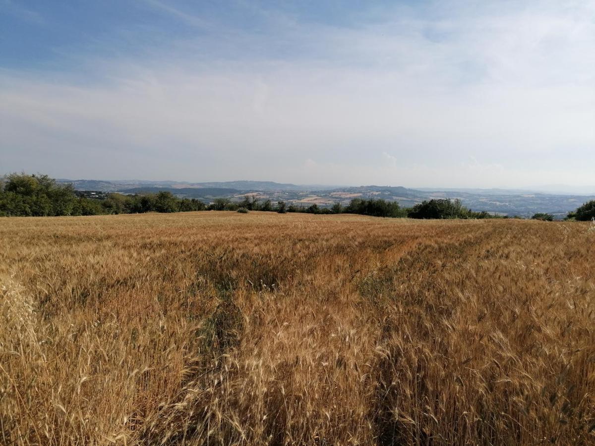 B&B Capo Le Vigne Sirolo Kültér fotó
